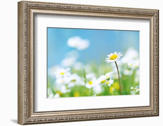 Flowers-photoslb com-Framed Photographic Print