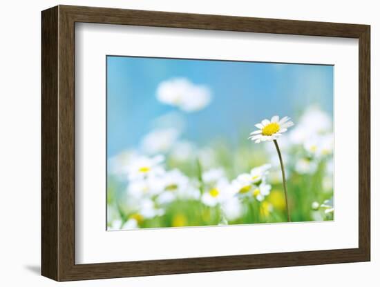 Flowers-photoslb com-Framed Photographic Print