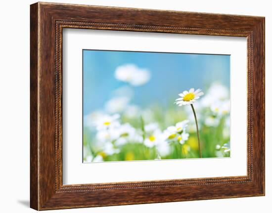 Flowers-photoslb com-Framed Photographic Print