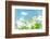 Flowers-photoslb com-Framed Photographic Print