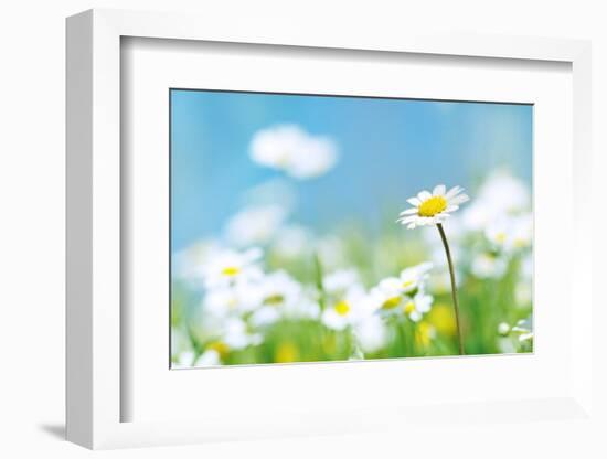 Flowers-photoslb com-Framed Photographic Print