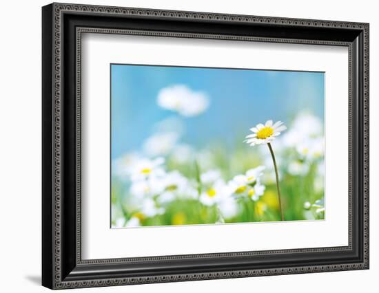 Flowers-photoslb com-Framed Photographic Print