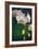 Flowers-Gordon Semmens-Framed Photographic Print