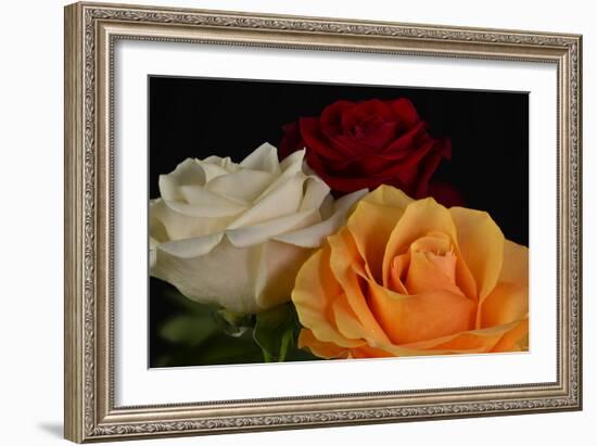 Flowers-Gordon Semmens-Framed Photographic Print