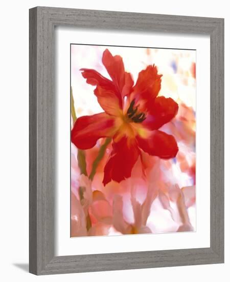 Flowers-Andrzej Pluta-Framed Giclee Print