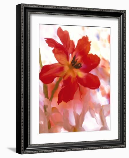 Flowers-Andrzej Pluta-Framed Giclee Print