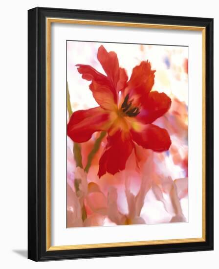 Flowers-Andrzej Pluta-Framed Giclee Print