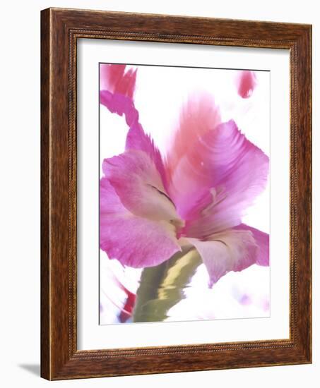 Flowers-Andrzej Pluta-Framed Giclee Print