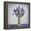 Flowers-Christopher Ryland-Framed Premier Image Canvas