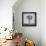 Flowers-Christopher Ryland-Framed Premier Image Canvas displayed on a wall
