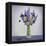 Flowers-Christopher Ryland-Framed Premier Image Canvas