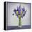 Flowers-Christopher Ryland-Framed Premier Image Canvas