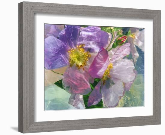 Flowers-Andrzej Pluta-Framed Giclee Print