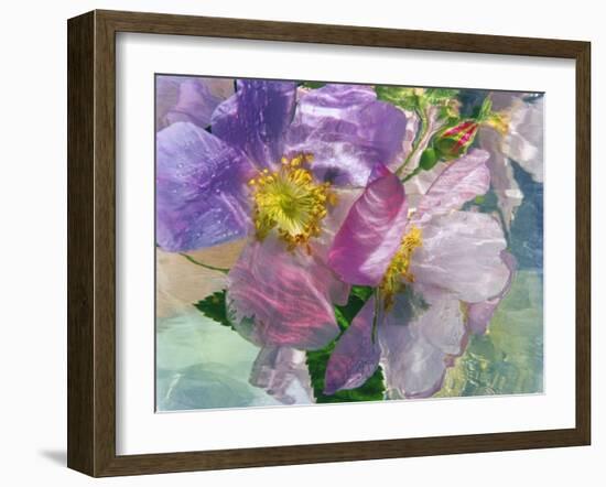 Flowers-Andrzej Pluta-Framed Giclee Print