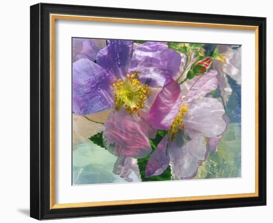 Flowers-Andrzej Pluta-Framed Giclee Print