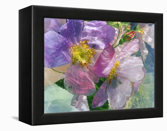 Flowers-Andrzej Pluta-Framed Premier Image Canvas