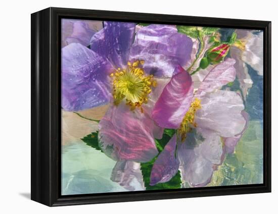 Flowers-Andrzej Pluta-Framed Premier Image Canvas