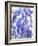 Flowers-Andrzej Pluta-Framed Giclee Print