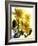 Flowers-Andrzej Pluta-Framed Giclee Print