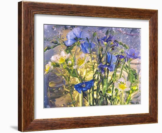 Flowers-Andrzej Pluta-Framed Giclee Print