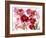 Flowers-Andrzej Pluta-Framed Giclee Print