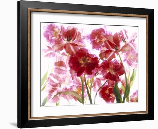 Flowers-Andrzej Pluta-Framed Giclee Print