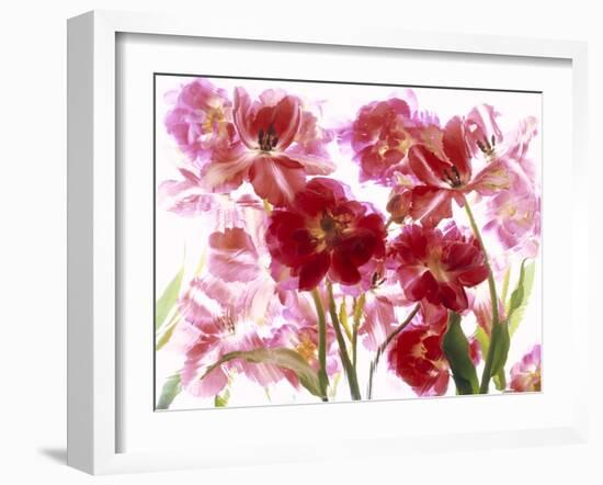 Flowers-Andrzej Pluta-Framed Giclee Print