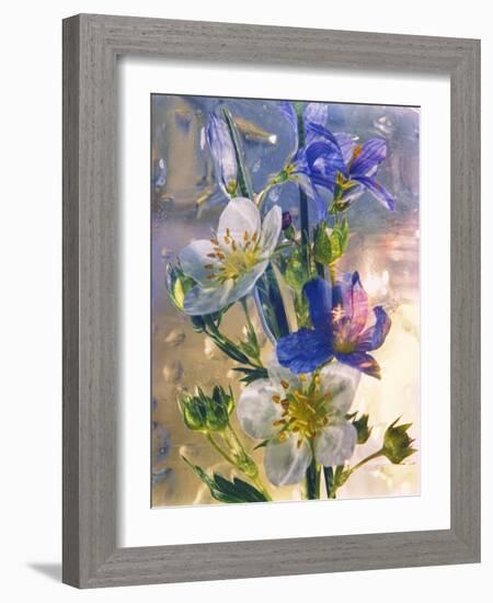 Flowers-Andrzej Pluta-Framed Giclee Print