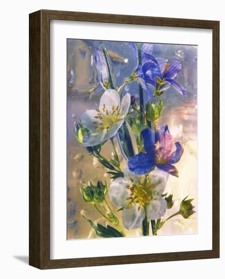 Flowers-Andrzej Pluta-Framed Giclee Print