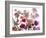 Flowers-Andrzej Pluta-Framed Giclee Print