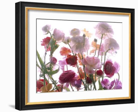 Flowers-Andrzej Pluta-Framed Giclee Print