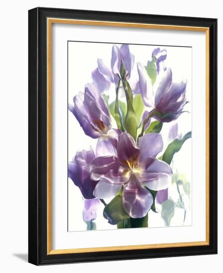 Flowers-Andrzej Pluta-Framed Giclee Print