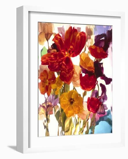 Flowers-Andrzej Pluta-Framed Giclee Print