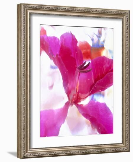 Flowers-Andrzej Pluta-Framed Giclee Print