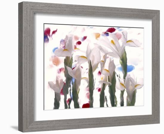 Flowers-Andrzej Pluta-Framed Giclee Print