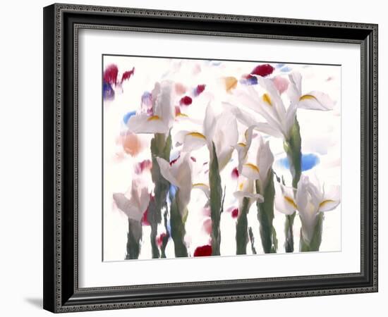 Flowers-Andrzej Pluta-Framed Giclee Print