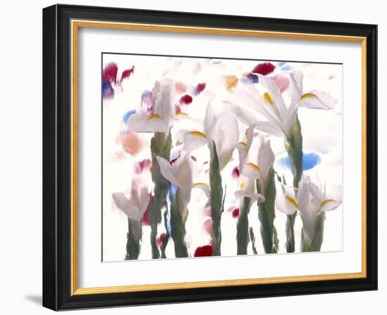 Flowers-Andrzej Pluta-Framed Giclee Print