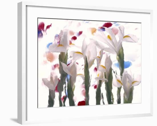 Flowers-Andrzej Pluta-Framed Giclee Print