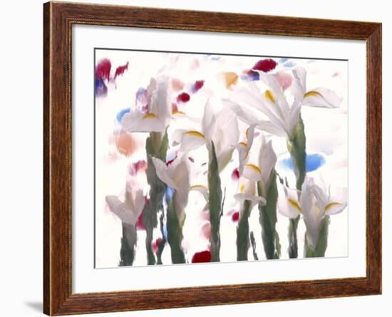 Flowers-Andrzej Pluta-Framed Giclee Print