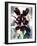 Flowers-Andrzej Pluta-Framed Giclee Print