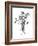 Flowers-Dan Hobday-Framed Photographic Print