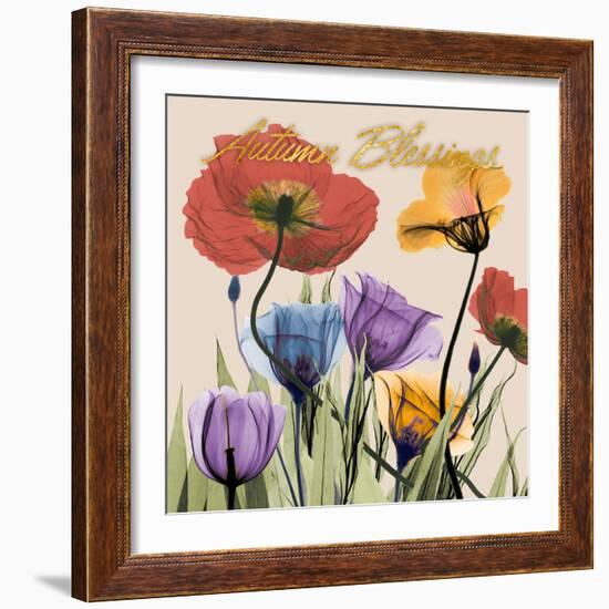 Flowerscape Blessings-Albert Koetsier-Framed Photo