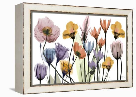 Flowerscape Portrait-Albert Koetsier-Framed Stretched Canvas