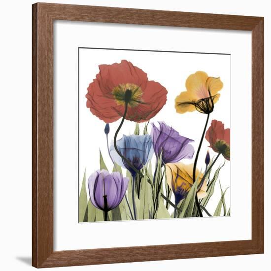 Flowerscape-Albert Koetsier-Framed Photographic Print