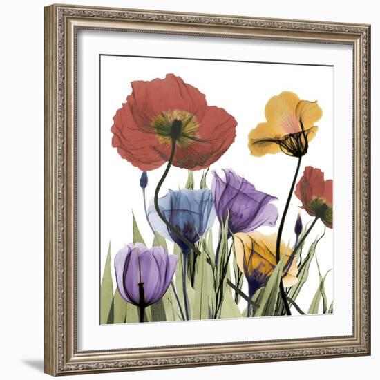 Flowerscape-Albert Koetsier-Framed Photographic Print