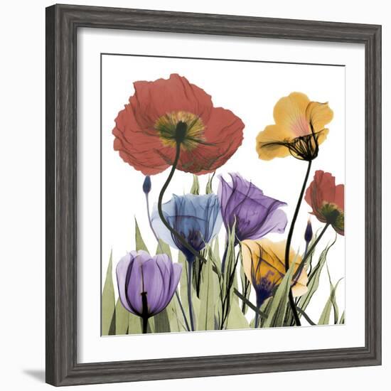 Flowerscape-Albert Koetsier-Framed Photographic Print