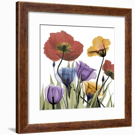 Flowerscape-Albert Koetsier-Framed Photographic Print