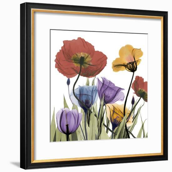 Flowerscape-Albert Koetsier-Framed Photographic Print