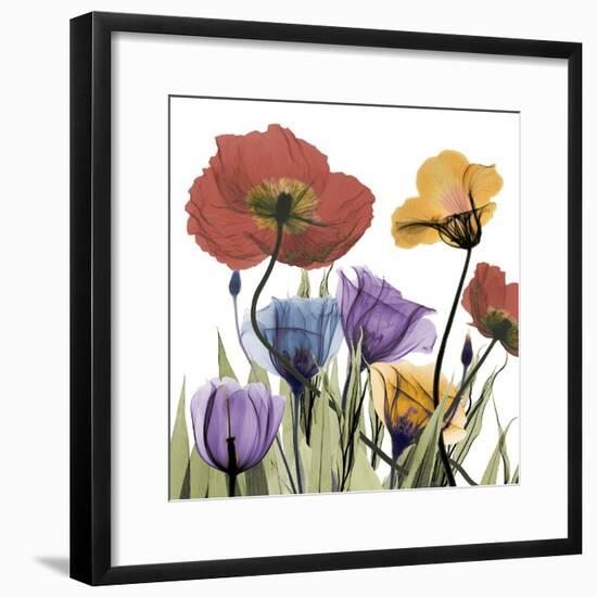 Flowerscape-Albert Koetsier-Framed Photographic Print