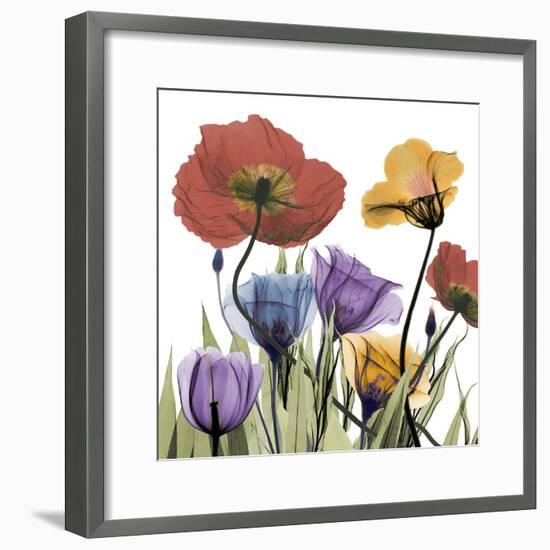 Flowerscape-Albert Koetsier-Framed Photographic Print